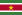 22px Flag of Suriname.svg